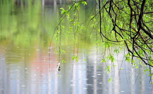 雨中的守护者 —— 临夏市珍珠棉的应用实践